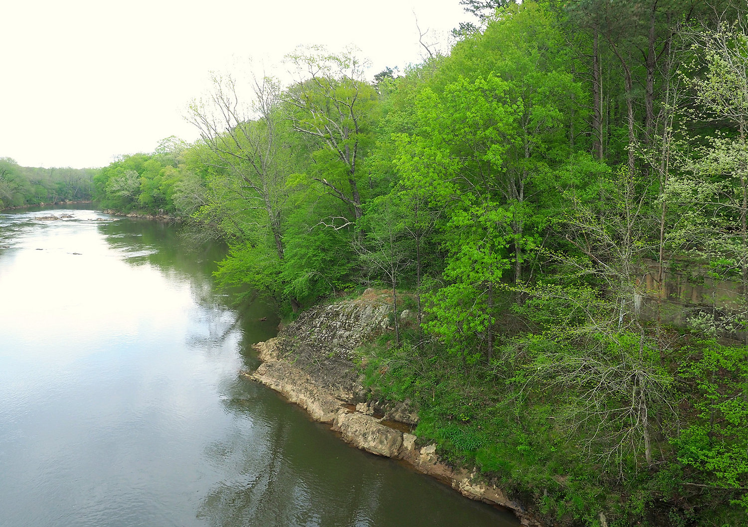 A bank of the Haw River.